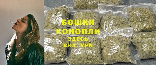 apvp Семёнов