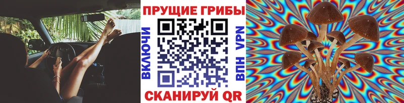 как найти наркотики  Шуя  Галлюциногенные грибы ЛСД 
