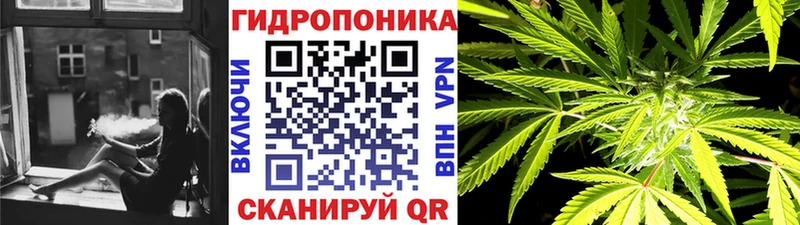 Каннабис ГИДРОПОН  купить   Шуя 